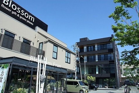 ブロッサムフラン Bグリーン