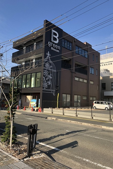 ブロッサムBグリーン ブラックカラーの外壁