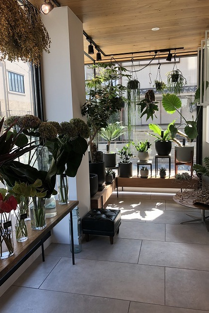 ブロッサムBグリーン 大開口とディスプレイ