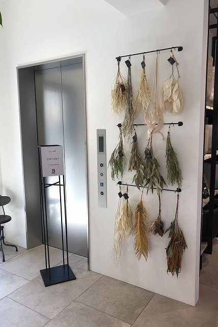 ブロッサムBグリーン EV廻りディスプレイ