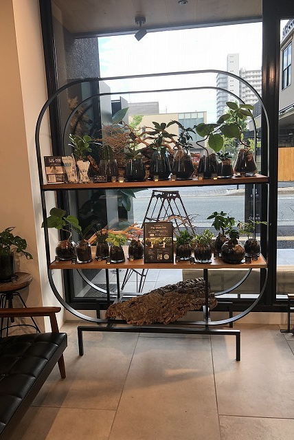 ブロッサムBグリーン 曲線基調のディスプレイ