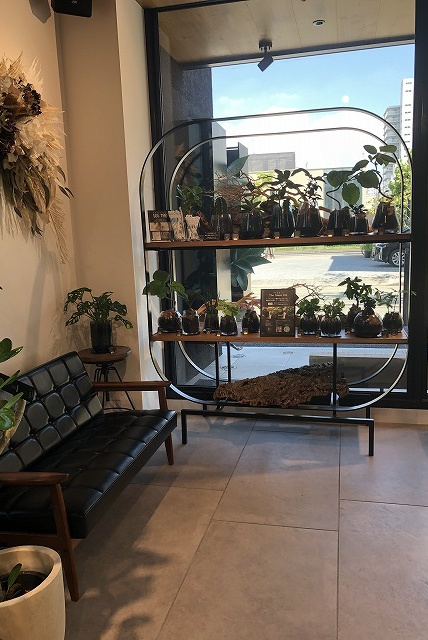 ブロッサムBグリーン ベンチコーナー