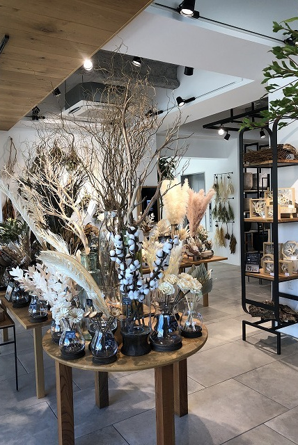 ブロッサムBグリーン ディスプレイ